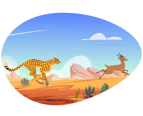 cheetah-safari