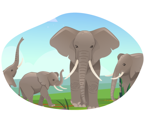 elephant-safari elephant-safari
