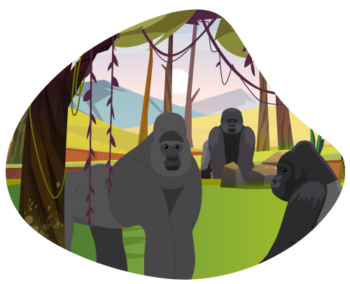 gorilla-safari gorilla-safari