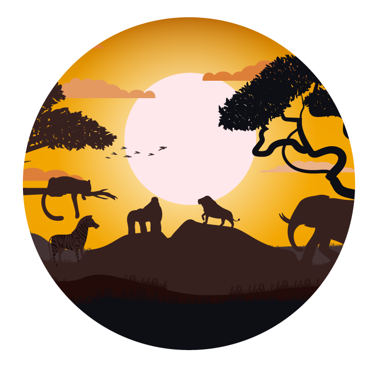safari-cta-image