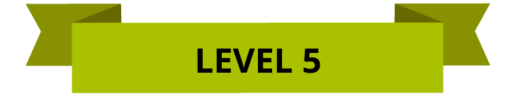 Level-5-Banner