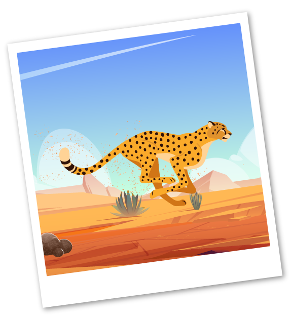 cheetah-photo-test