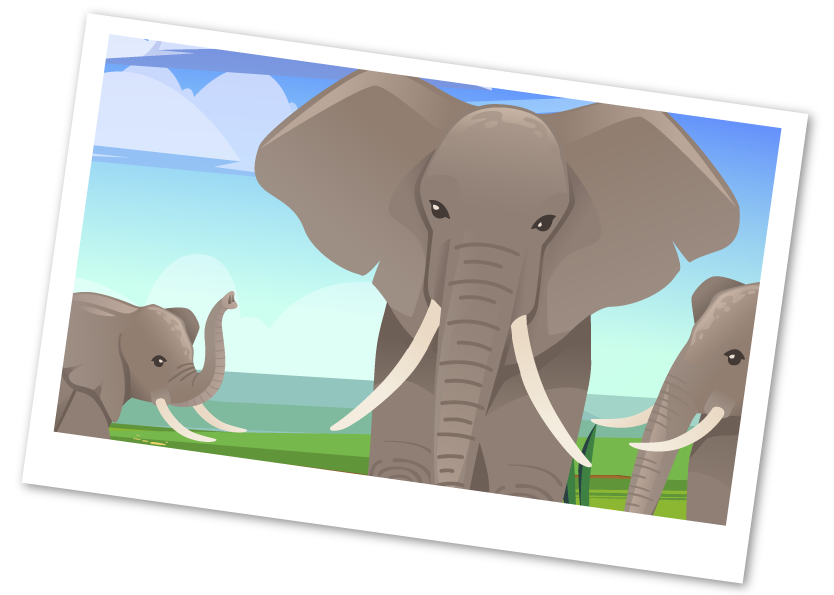 elephant-photo-test