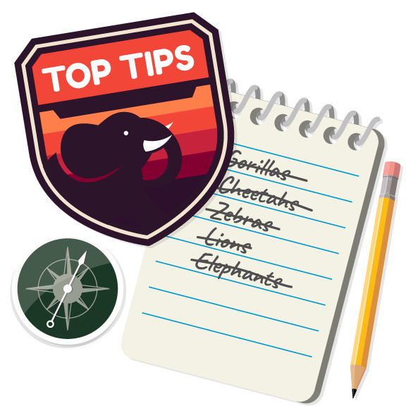 elephant-top-tips