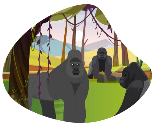gorilla-safari