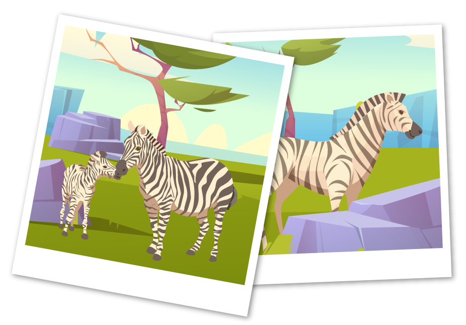 zebra-photo-test