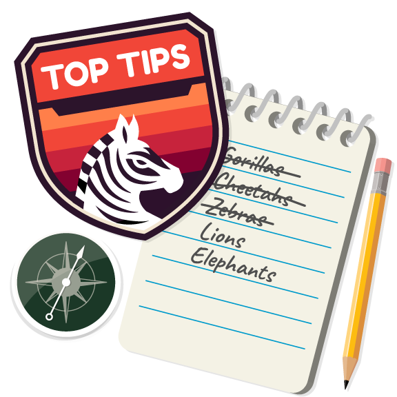 zebra-top-tips