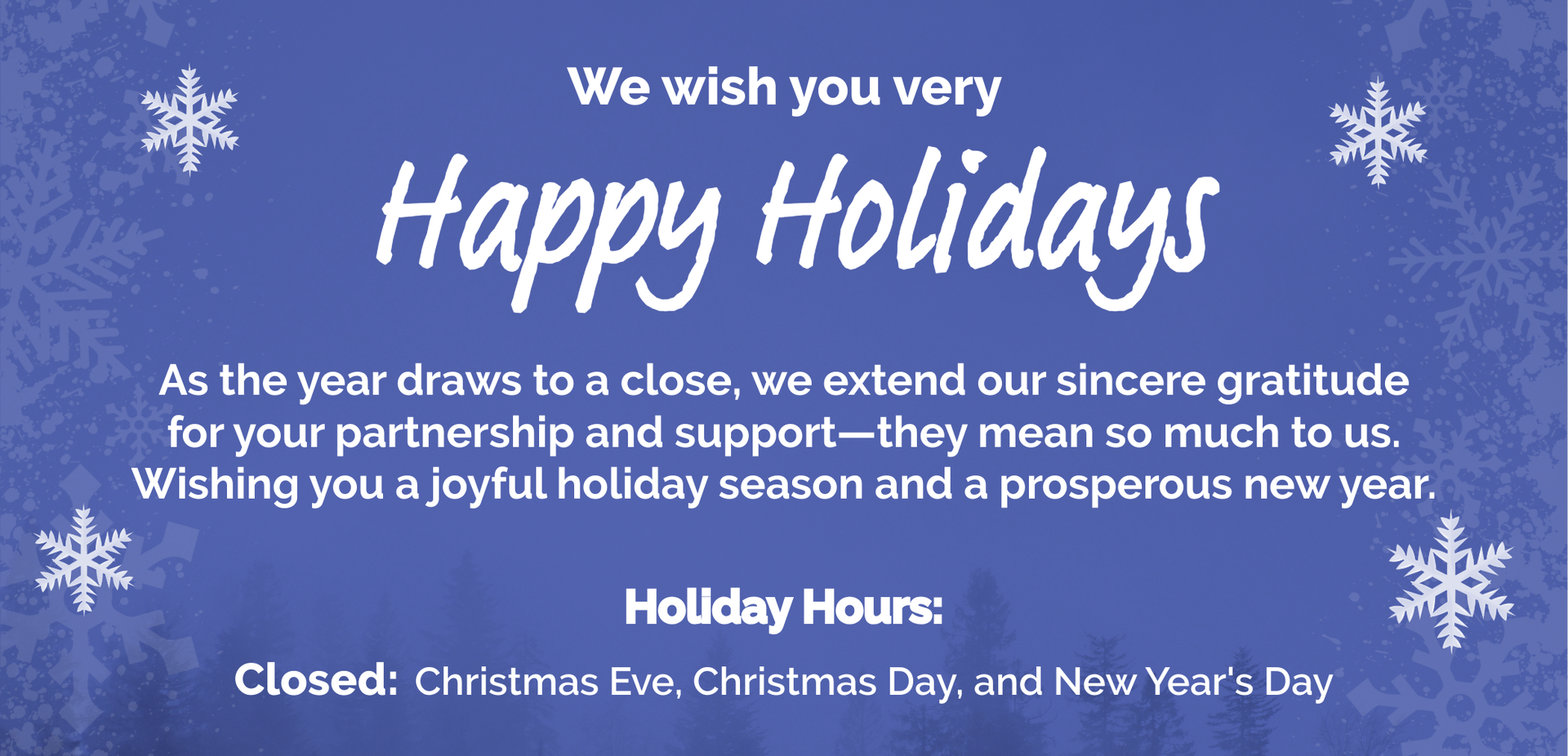 Happy Holidays from DSS